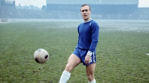 曾经的蓝色：罗恩·哈里斯